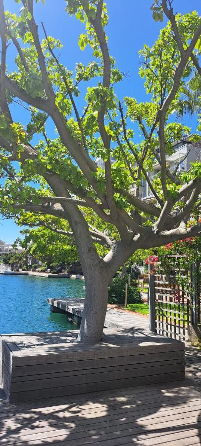 V&A Waterfront Marina Family Apartment 101 Altmore Cape Town Dış mekan fotoğraf